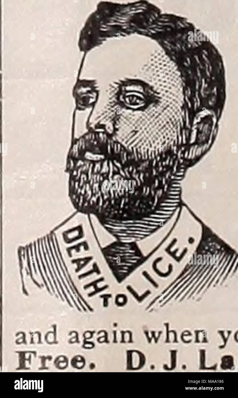 . Die östliche poultryman. Stockfoto