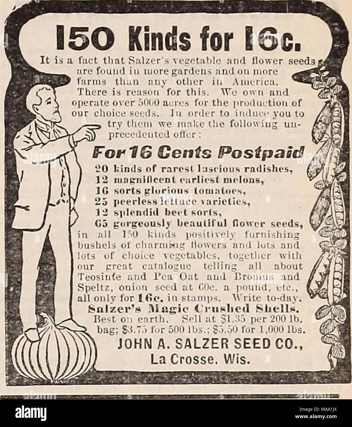 Falken beweisen Fotos und Bildmaterial in hoher Auflösung Alamy