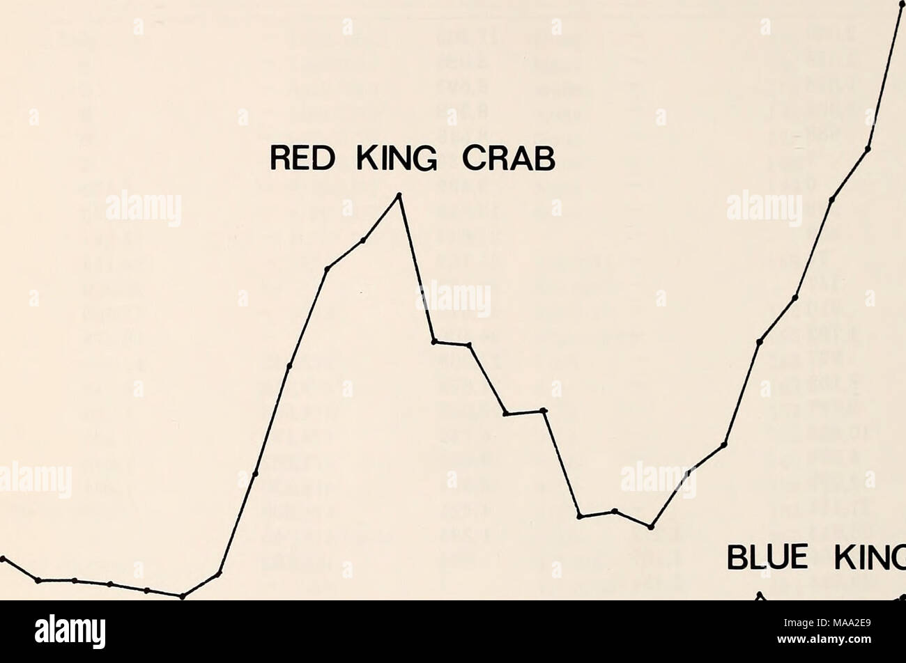 . Die östliche Beringmeer Regal: Ozeanographie und Ressourcen/bearbeitet von Donald W. Haube und John A. Calder. BLUE KING CRAB I R I I I I T F V. 54 56 58 60 62 64 66 68 70 72 74 76 78 Jahr Abbildung 61-6. All-Nation, die Anlandungen von Rot und Blau Königskrabben vom östlichen Bering Meer südlich von 58°. Fischereierzeugnisse ist fast das Doppelte von 1977 (vielleicht 40.000 Nettotonnen). King Crab Töpfe sind mit Stahlrahmen (oft Beton Betonstahl) und Nylon web gebaut. Töpfe in der Regel höchstens 227 kg Gewicht. Die neueste crab Schiffe können 160-200 Töpfe an Deck und viele Schiffe über 300 Töpfe. Während der 1977 Rot Stockfoto