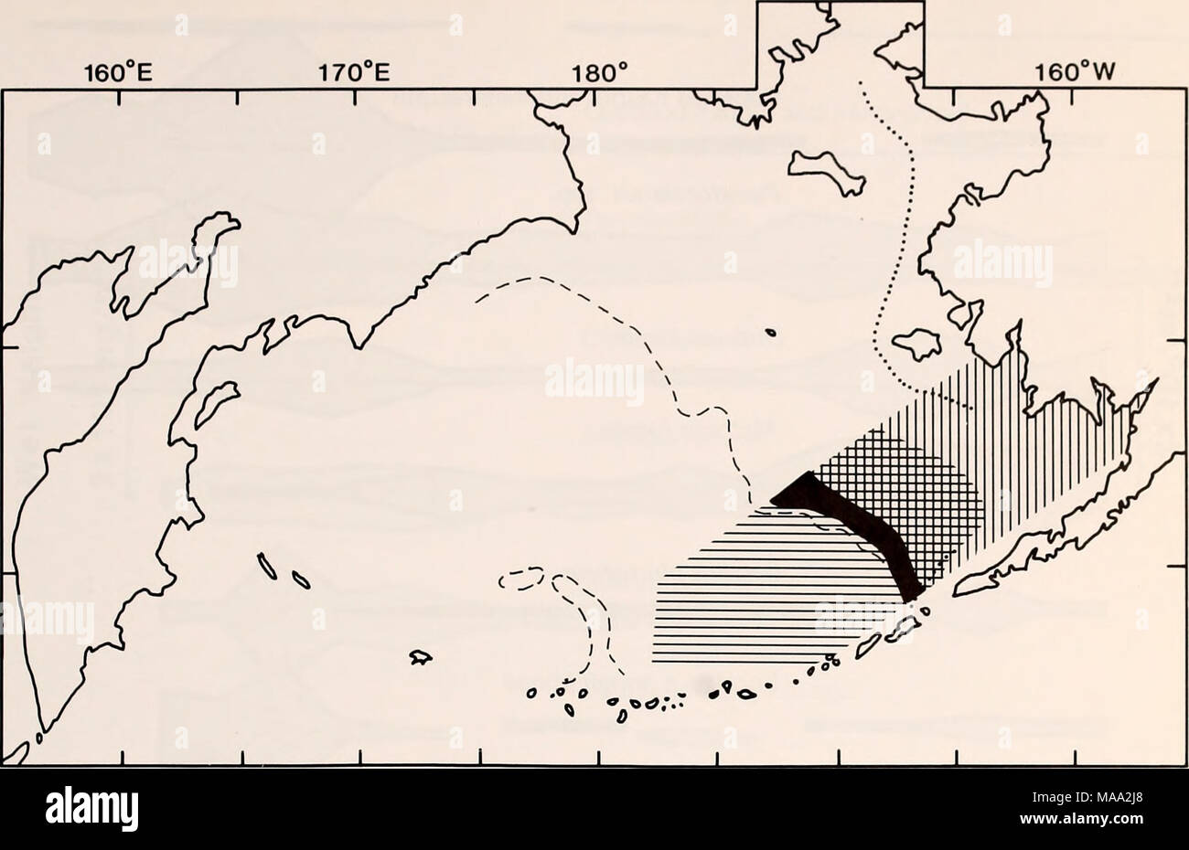 . Die östliche Beringmeer Regal: Ozeanographie und Ressourcen/bearbeitet von Donald W. Haube und John A. Calder. - 60°N - 50°N SAISONPRODUKT IN BIOMASSE (wet Gewicht g/m^) Oceanic Gemeinschaft Regal-break Gemeinschaft 13-37 7-180 gemischte Gemeinschaft 7 - 60 Mitte - Regal- und Küstenregionen der Gemeinschaft 7-12 Abbildung 57-10. Schematische Darstellung der saisonalen und räumlichen Variationen in Naß-gewicht Biomasse in der südöstlichen Beringsee. sehr unterschiedlichen Domänen über dem Regal, so dass cross-Regal Unterschiede in der Produktivität nicht zu erkennen sind. Studien vor Kurzem im Südosten Beringmeer (Anlage 57 - III) abgeschlossen werden t Stockfoto