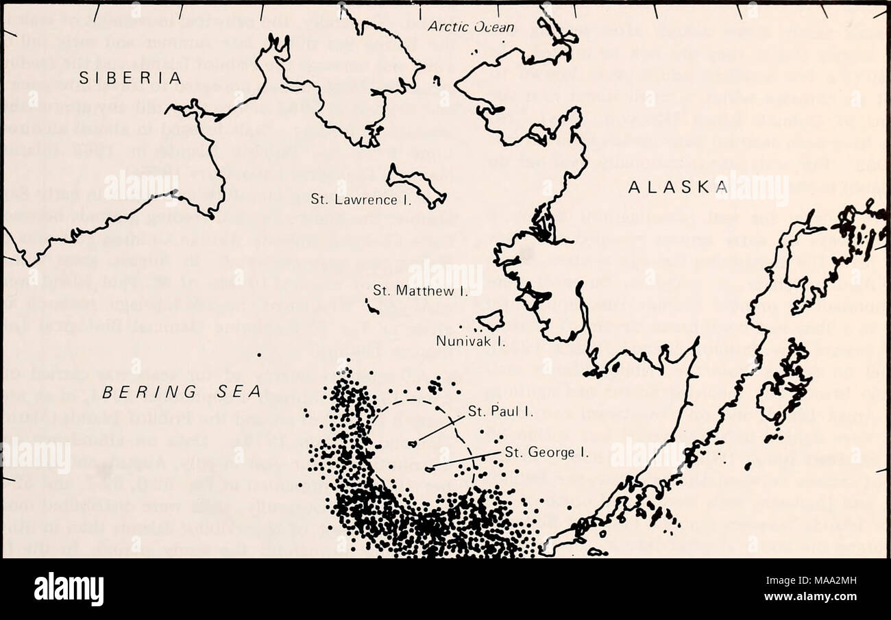 . Die östliche Beringmeer Regal: Ozeanographie und Ressourcen/bearbeitet von Donald W. Haube und John A. Calder. BERING MEER "9'"' "a-". #**" • "Umnak I.;^^ Sk^^'^^' Aleuten s a'^ ds 1 1 Es''N 60°N 55°N 50°N 180°W 175° W 170° W 165° W 160° W 155° Abbildung 52-3. Verteilung der pelagischen Fell Dichtung Ernte von Townsend von 1883 bis 1897 zusammengestellt von Buch die Datensätze. (Von Townsend 1899 geändert.) Stockfoto