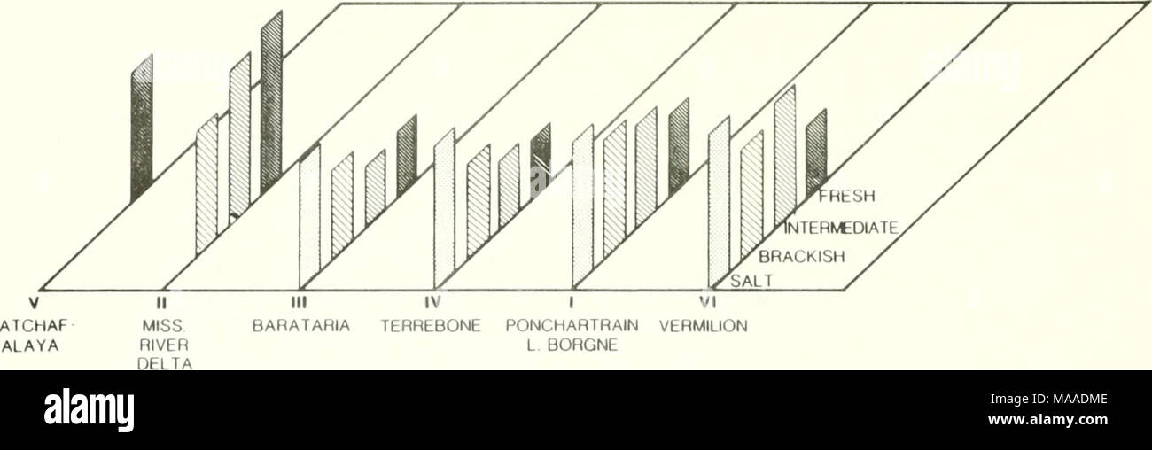 . Die Ökologie der delta Sümpfe des Coastal Louisiana: eine Gemeinschaft Profil. PONCHARTRAIN L BORGNE VI VERMILION FRISCHE INTERMEDIATE^" "'j BRACK SAl ich Mineral Reihenfolge der Abbildung 26 angeordnet in Prozent MINERALGEHALT Inhalt von Marsh Böden zunehmendem Alter (Daten aus 100 50 0 in Mississippi Chabreck 1972). delta Hydro! ogic Einheiten. Die Ponchartrain-Lake Borgne Becken (Anlage I) ist durch eine Reihe von kleinen, lokalen Bächen gespeist, die von der Pearl River, und in regelmäßigen Abständen durch Umleitung der Missis Sippi-Fluss durch die Motorhaube Carre'â' -- â â^" - "Die Vermil ion Stockfoto