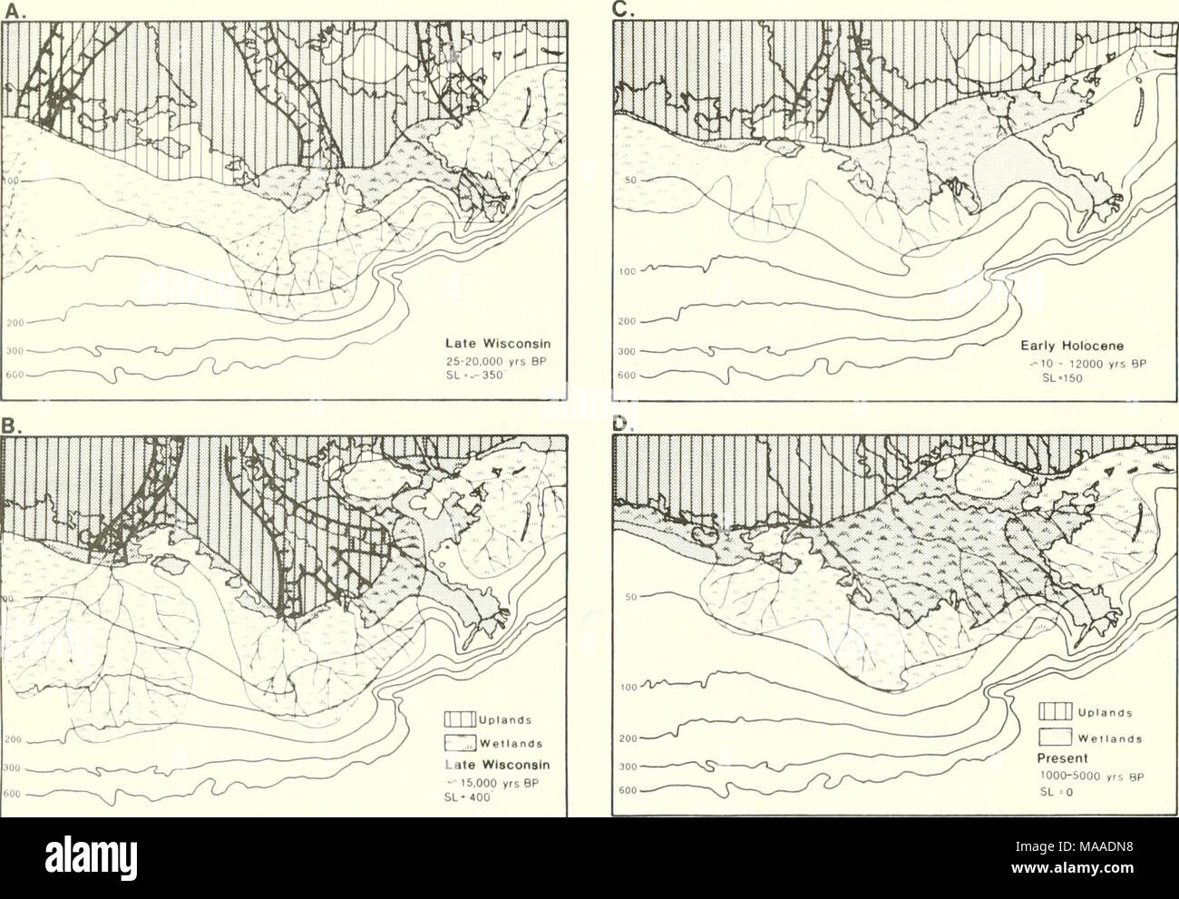 Geologie relative Datierung