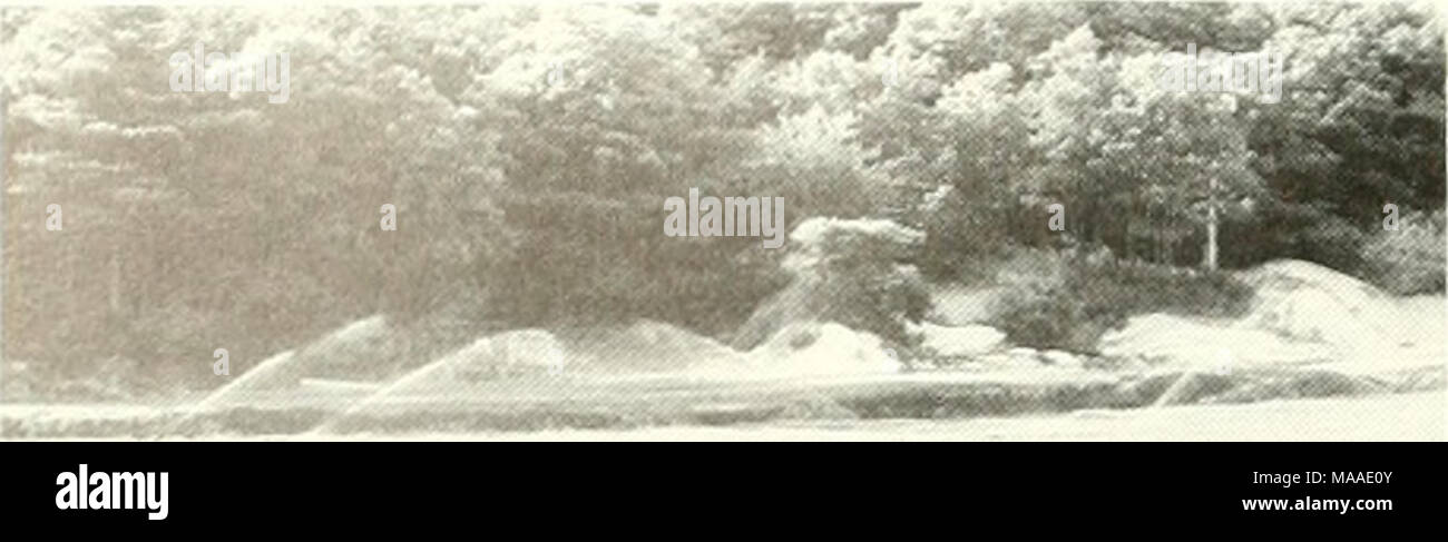 . Ökologie der Buzzards Bay: ein Ästuar- Profil. seichte Nearshore embayments. Die Auswirkungen der finfishery shellfishery (und Freizeit) auf dem MA-rine Wirtschaft ist viel größer als der Wert des An-nual auffangen, weil sowohl Unterstützung sekundäre Industrien und Tourismus. .... Abb. 5.3. Spray Bewässerung auf Cranberry Moore, die primäre Methode für die Anwendung von Düngemitteln und Pestiziden, obwohl Hochwasser auch für Schädlingsbekämpfung verwendet wird. Foto von B. Howes. Wie kommerzielle finfishing in Buzzards Bay Waters verboten ist, die marine Wirtschaft am meisten durch schlechte Wasserqualität Rahmenbedingungen belastet ist die shel Stockfoto