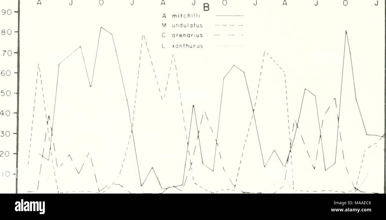 . Die Ökologie der Apalachicola Bay System: ein Ästuar- Profil. T-1-I-R M A M J T-I I I I I R I I I I-I I I I-r-n-i-i-i-i i i-i i i i i i 97 J JASONDJFMAMJJASONDJFMAMJJASONDJF 1972 1974 1975 Jahr und Monat Abbildung 42. Relative Bedeutung der vier dominierenden Arten wirbelloser Tiere und Fische in der Apalachicola Bay System von März 1972 bis Februar 1975. Diese Arten von 32,4 % und 86,0 % der jeweiligen 3-yr Summen (Livingston et al. 1976). Zeigen deutliche Muster der relative Fülle throuqh einer bestimmten Saison Zeitraum. Verschiedene unabhängige ökologische Faktoren betreiben Stockfoto