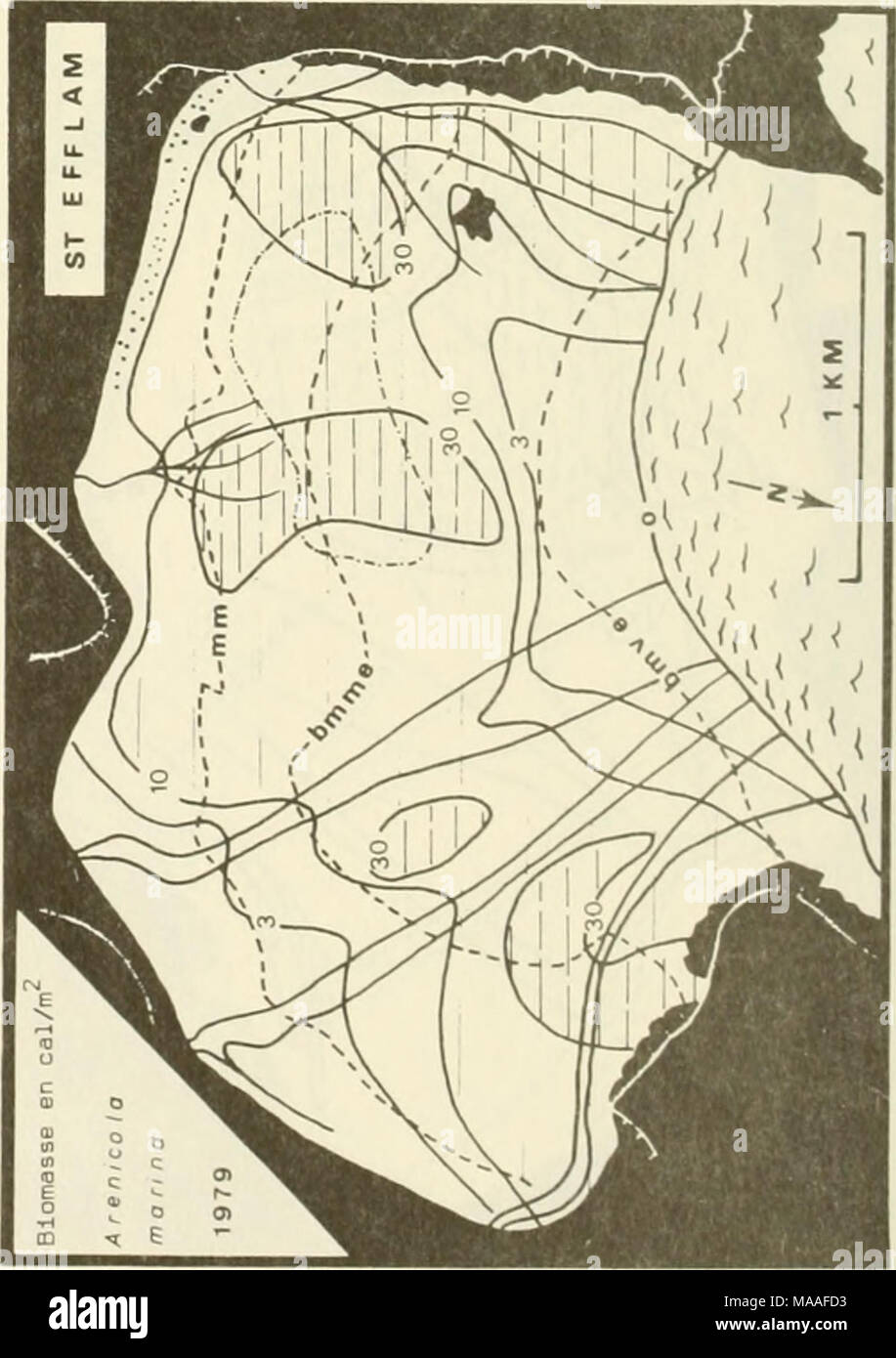 . Ökologische Studie der Amoco Cadiz Ölpest: Bericht des NOAA-CNEXO Gemeinsame wissenschaftliche Kommission. Stockfoto