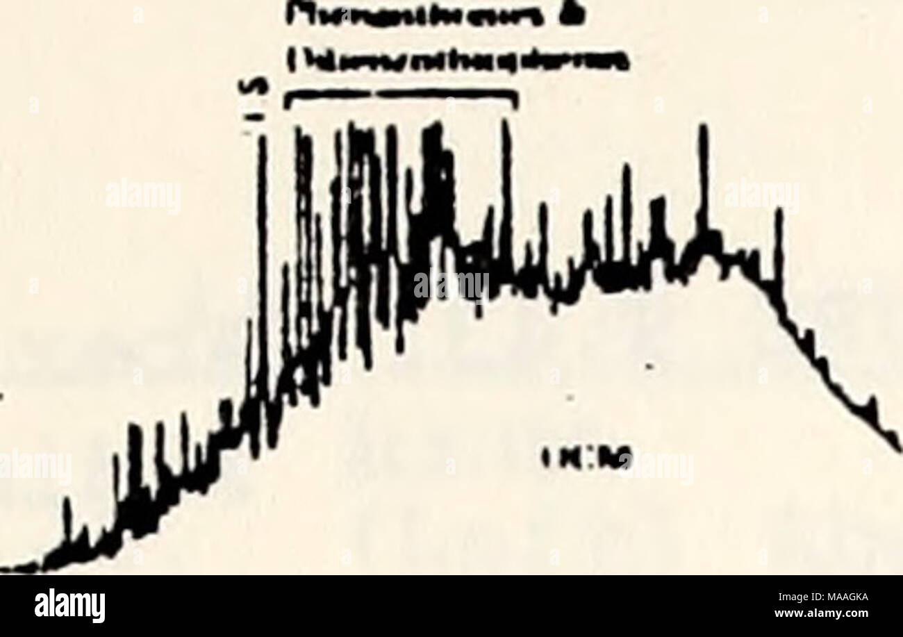 Lfl Stockfotos Und Bilder Kaufen Alamy