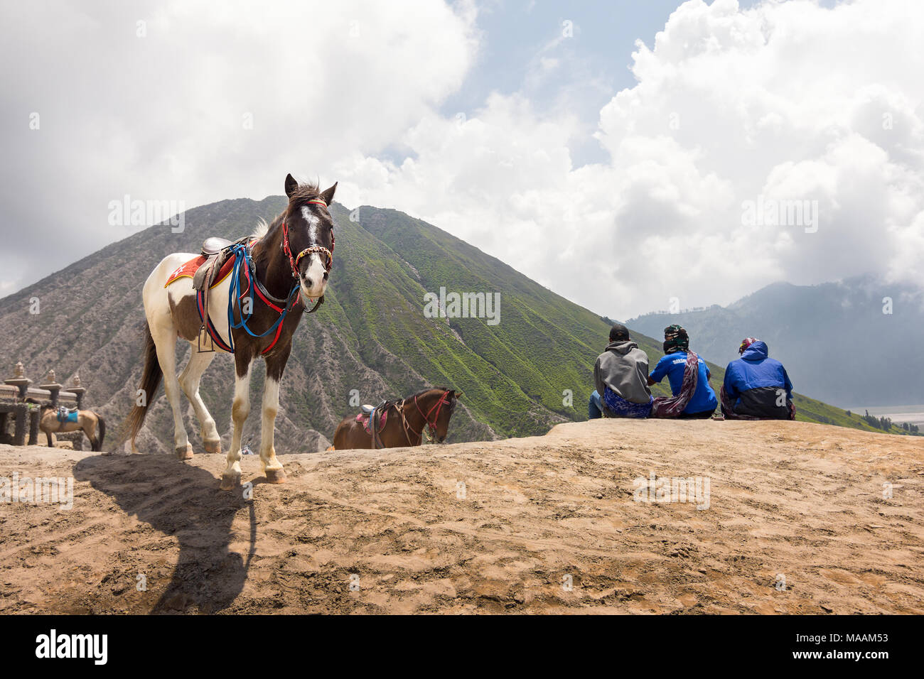 Ein Pferd verwendet Touristen bis zum Fuß weg tragen Bromo ständigen Loong in die Kamera mt mit 3 Pferd Führungen und Gunung Batok im Hintergrund. Mt Br Stockfoto