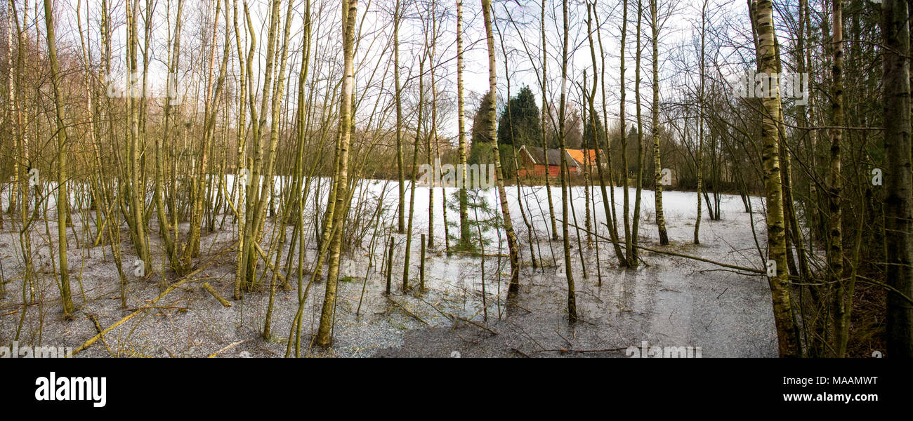 Haus in Holz und gefrorenen Teich im Winter in der Region Achterhoek, Gelderland, Holland versteckt Stockfoto
