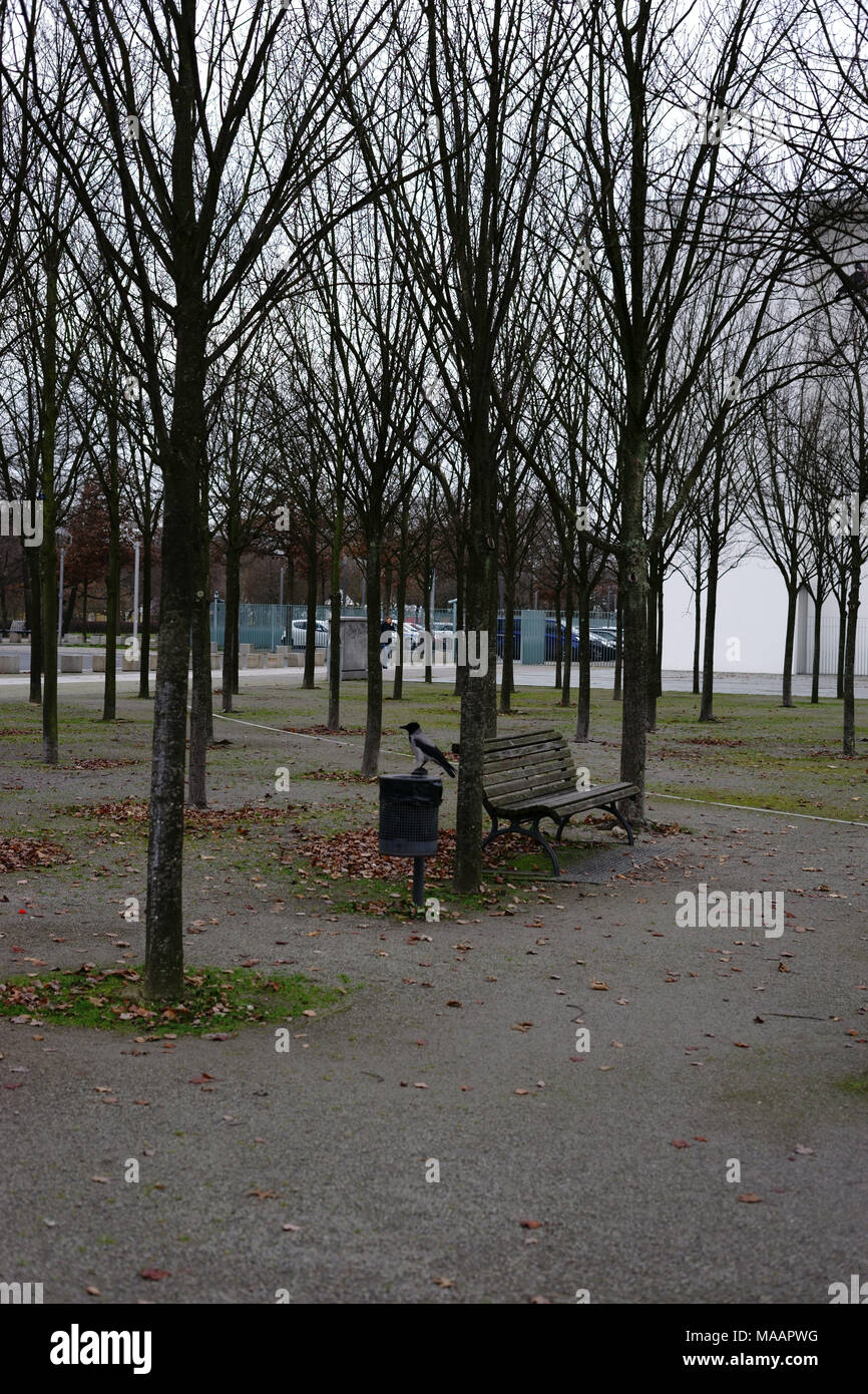 Ein Rabe sitzt auf einem Mülleimer neben einer Parkbank und Sucht nach Essen. Stockfoto