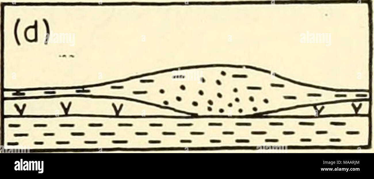 . Die Erde unter dem Meer: Geschichte. Abb. 16. Umkehrung der Entlastung durch die Schrumpfung der Torf in Flandern. (Von Tavernier, 1947.) (a) Abscheidung von alten marine Lehm; (b) die Bildung von Torf; (c) Torf durch Bäche erodiert; Ablagerung von jungen marine Lehm und Sand; (d) die Verkleinerung von Torf und Umkehrung der Erleichterung. quer Pulsation der Zone von maximal Trübung, die während der Flut auftritt. Glangeaud (1938) hat auch die mediane Schlamm - Banken in flußmündungen als Folge der vertikalen Wirbel auf beiden Seiten des Kanals erklärt, mit absteigender und konvergierenden Strömungen, die die Banken. Sümpfe liegen t Stockfoto
