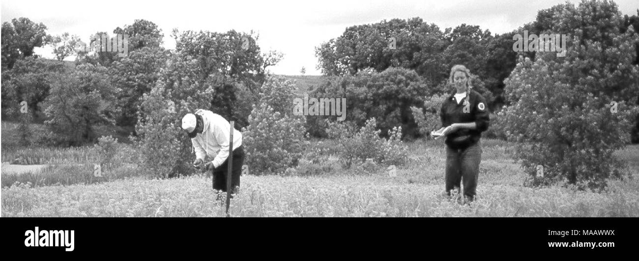 . National Straße Vegetation Management Plan: die integrierte Unkrautbekämpfung Komponente 2006-2011. Stockfoto