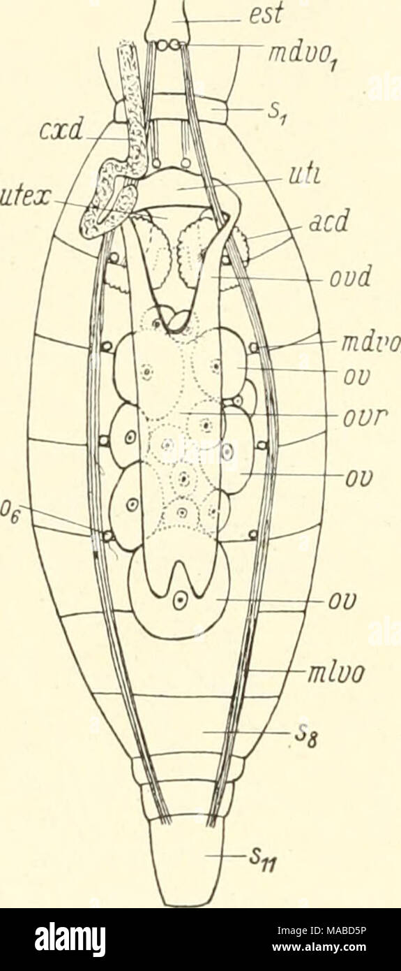 O v d Fotos und Bildmaterial in hoher Auflösung Alamy