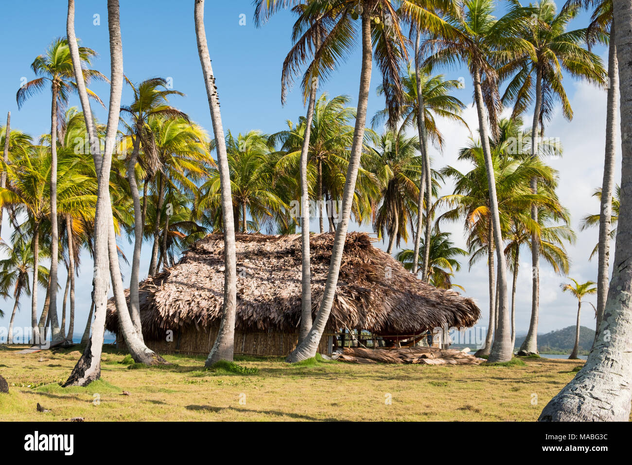 Haus, Bungalow mit Strohdach auf Palm Tree Island - Stockfoto