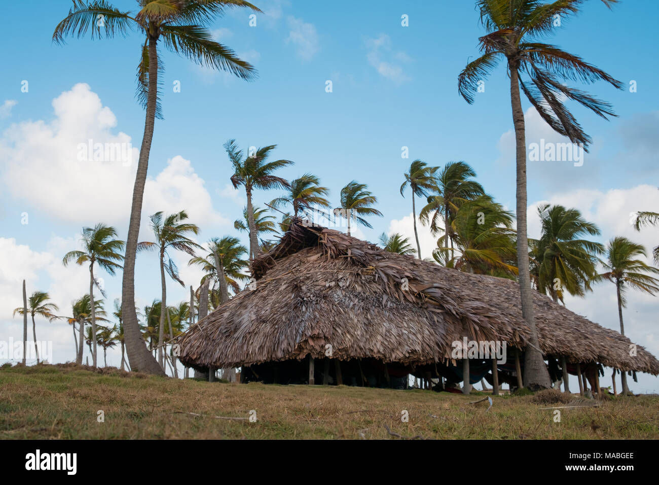 Haus, Bungalow mit Strohdach auf Palm Tree Island - Stockfoto