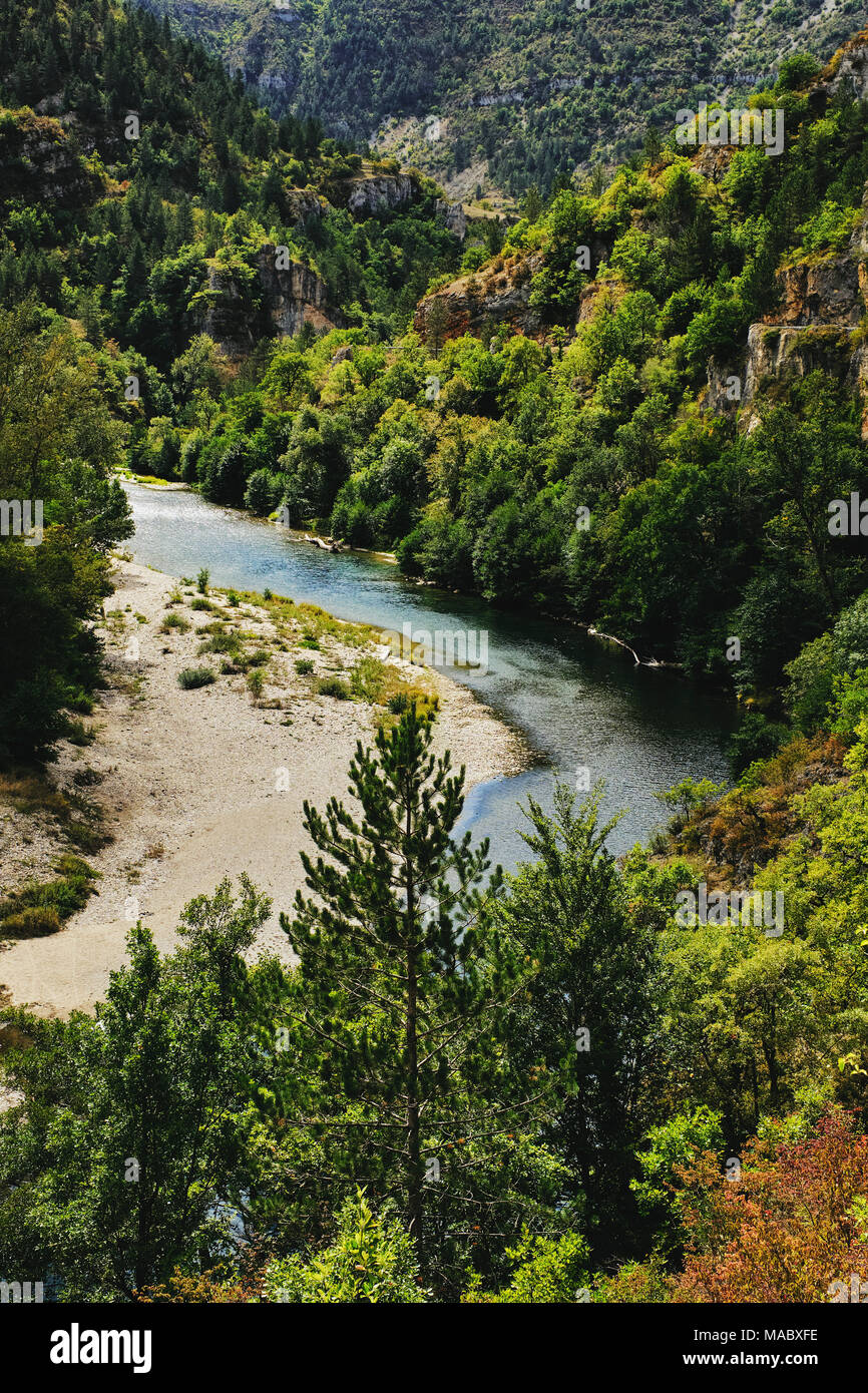 Die Gorges du Tarn ist eine Schlucht von Tarn zwischen den Causse Méjean und dem Causse de Sauveterre, in Südfrankreich. Stockfoto