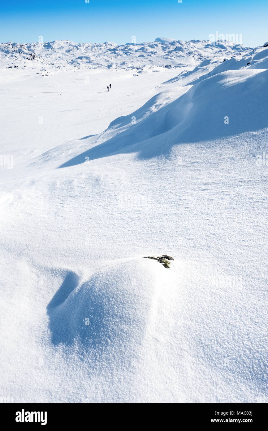 Langläufer im Winter Landschaft im Norden Schwedens mit den Bergen von Kebnekaise in distnace Stockfoto