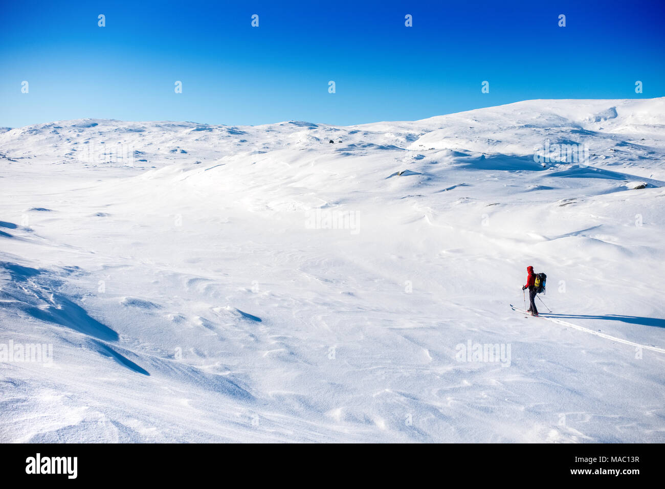 Eine einzelne skitourengeher in Nordschweden Stockfoto