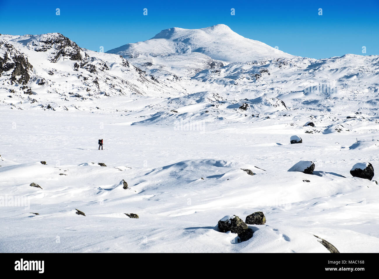 Cross country Skier im Winter Landschaft im Norden Schwedens mit den Bergen von Kebnekaise in distnace Stockfoto