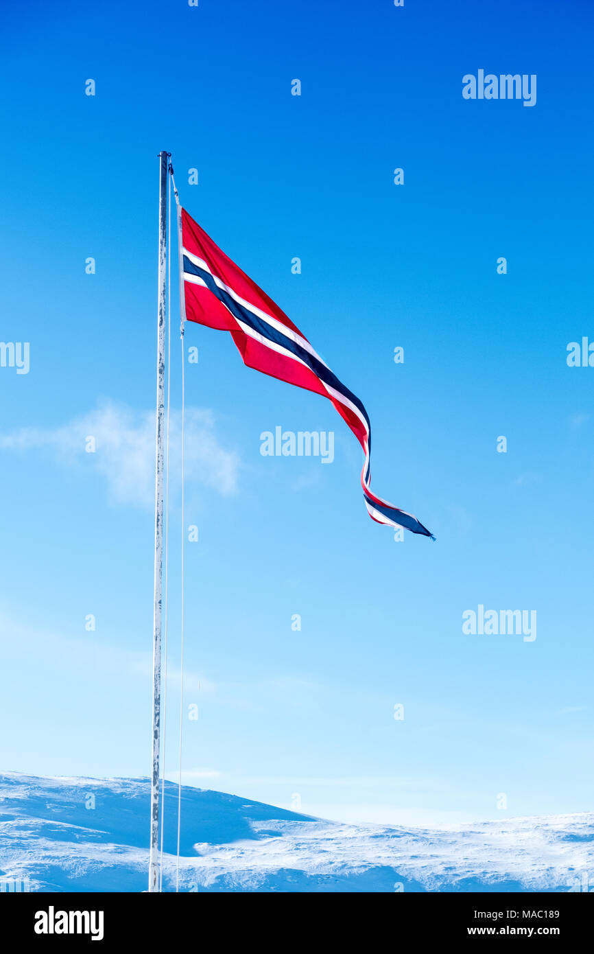 Norwegische Flagge/Wimpel vor blauem Himmel Stockfoto