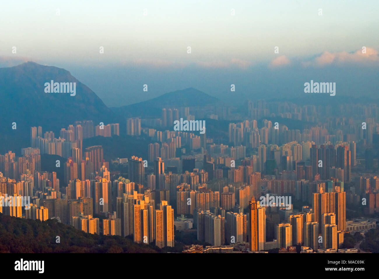 Morgen Blick auf die Hochhäuser, Hongkong, China Stockfoto