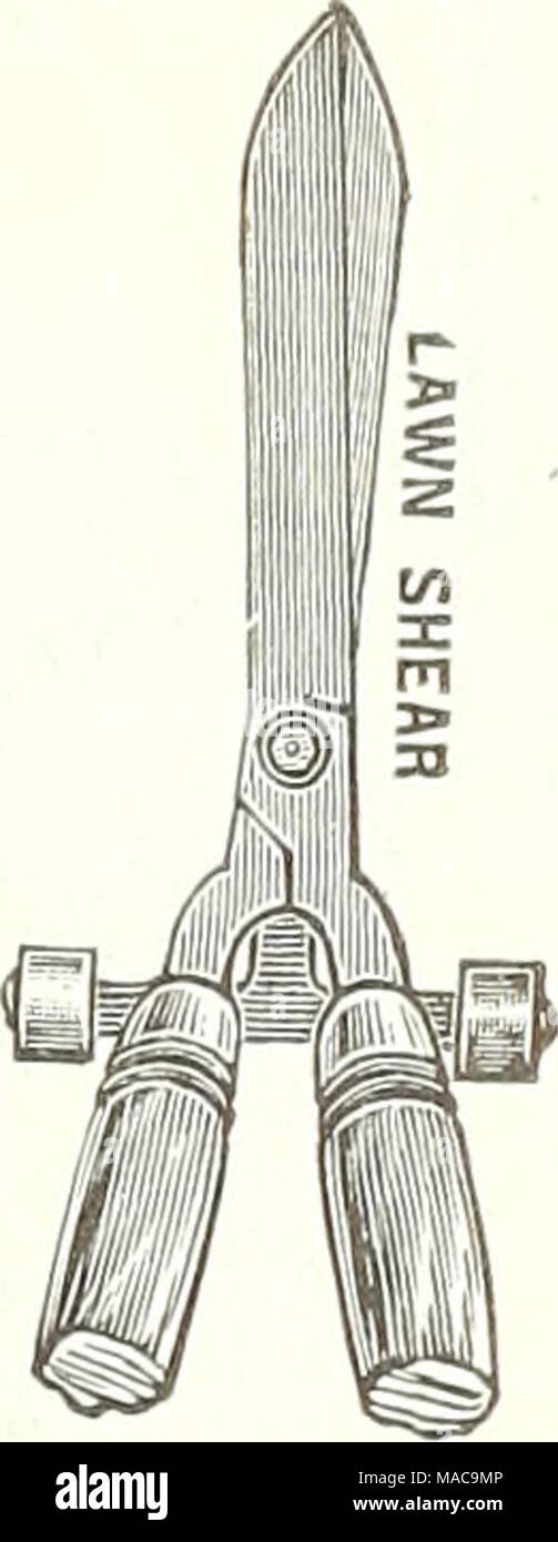 . Dreer's Mitte Sommer Liste 1922. Rasen Scher ft. Jede. Doz. 100 $ 0,04 $ 0,35 $ 1,90 0,05 ,45 3,50 0,08 0,75 5,15 0,10 0,95 6,80 1 2" 2 Uhr "3" schwere Rose oder DahHa. Rund, grün lackiert: Jeder. Doz. 100 3 ft $ 0,14 $ 1,50 $ 10,75 Ich 31 ft. 4 "5" Jede. . $ 0.12. .13 und .18 ,17 1,85 14,25. $ 0,22 5 ft 6" 28. Grün lackiert. Eine gute, starke Beteiligung: n ft. 2 o 1 ((3". . $ 0,03. 0.06. .07. .11 Doz. $ 0.30 .54 .75 1.00 Durchmesser 100 $ 1. 85 3 3,50 4 5,50 5 7,00 6 Plain unbemalt Dübel: Länge 42 Zoll ich Zoll. 42 "Ich". 42 "f". 36&quo Stockfoto