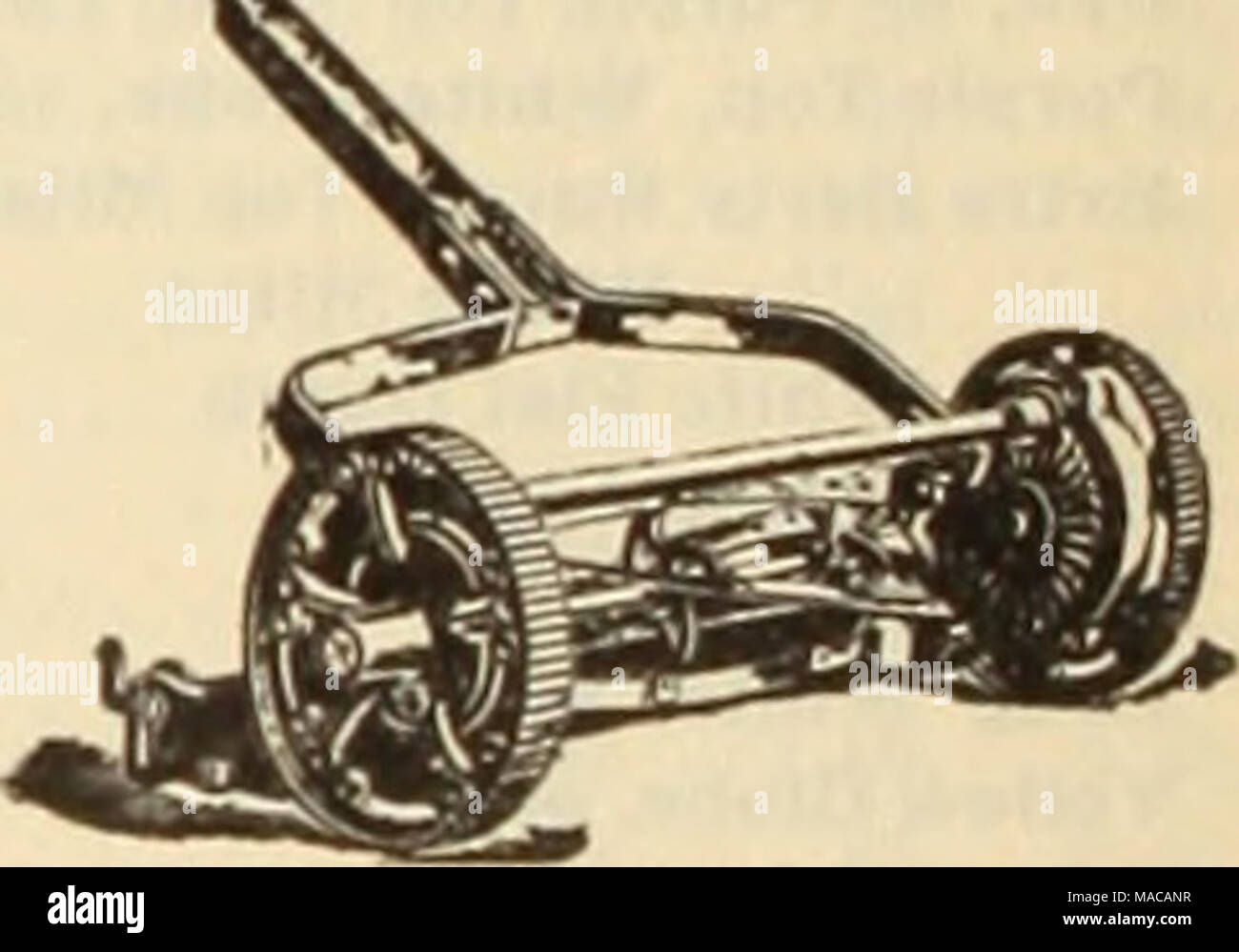 . Dreer der Großhandelspreis Liste der Samen, Pflanzen, Lampen, etc.. Weitgehend in Parkanlagen und Friedhöfe verwendet werden, und auf die großen Bereiche, in denen eine feine Maschine gewünscht wird. Die dreer Rasenmäher ist Selbst-Schärfen-ing, und wir stehen wieder unserer Garantie. 15-in. Hohe Rad. 4 Blades $ 10,75 12-in. Eine niedrige, 4 Blades $ 7,75 17 4 11,75 14 4 8,75 19 4 12,75 16 4 9,75 21 4 â â¢ 13,75 18 4" 10.75 Rasenmäher zu 10 Prozent unterliegen, Rabatt. DREER SPEZIELLE KNOCHEN MEHL f oder FLORISTEN eine überlegene sorgfältig vorbereitet Dünger oder Floristen verwenden. lOOJbs. $ 2,25; bbL, 200 lbs., $ 4,00; t Stockfoto