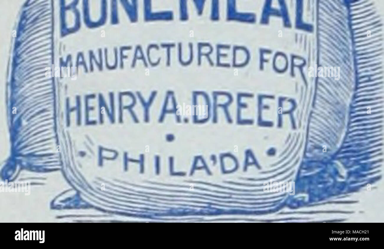 . Dreer der Großhandel Preisliste/Henry A. Dreer. . Pulverisierte Schafe Dünger. 100 Lb. Sack, $ 2,00, Tonne, $ 35,00. Kainit. 200 lbs $ 2,00, Tonne, $ 16,00. Tabak stammt. In Ballen von etwa 250 kg 1,50 $, Tonne, $ 11,00. Schnitttabak stammt. 125 lbs 1,25 $, Tonne, $ 16,00. Dreer's Peerless pflanzliche Nahrung. 1 lb., 20., cts.; Preis für größere Mengen auf Anfrage. Nitrat der Soda. 50 lbs 1,75 $; 100 Pfund $ 3,00; 2oo Kg $ 5,50; große Partien auf Anwendung. Dreer's Peerless Rasen und Garten Dressiug^. 25 lbs 85 cts.; 100 Pfund $ 2,75; 200 lbs 4,75, Tonne, $ 45,0 U Kanada Unleaclied Hartholz Asche. Pro bbl $ 2,50; Stockfoto