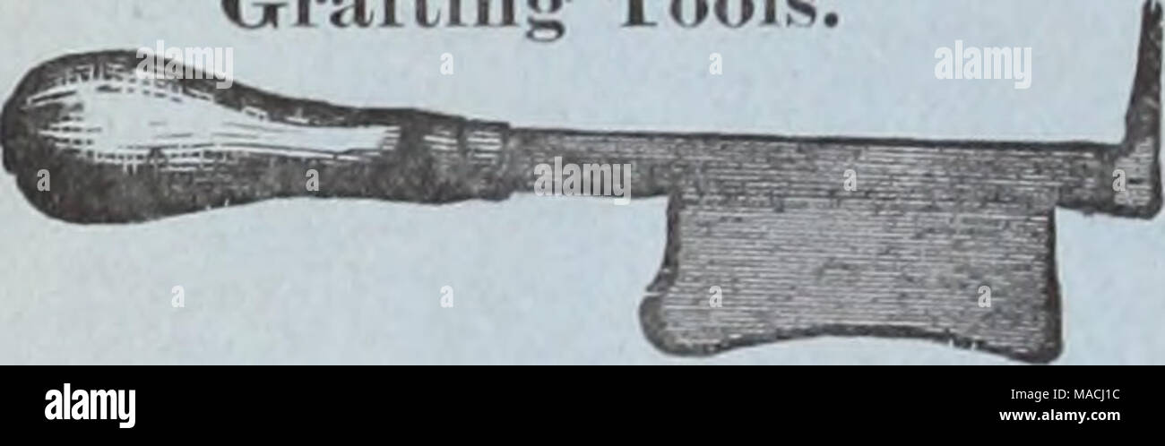 . Dreer der Großhandel Preisliste/Henry A. Dreer. . Kleine Größe, 50 cts. Große "75" Pruniug^ Handschuhe. Schweres Ziegenleder, 11,00 pro Paar. Patent Anlage Bett Tuch, lor Schattierung. Licht grade, 4 cts. pro Yard; pro Stück über 65 Yards, 3 J cts. pro Hof. Mittlerer grade, 8 cts. pro Yard; pro Stück über 60 Yards, 7 J cts. pro Hof. Schwer, 10^ cts. pro Yard; pro Stück über 40 Yards, 10 cts. pro Hof. Die Proben verschickt auf Anfrage. Universal Glas Messer. Nie den Punkt verlieren. Es funktioniert ganz anders als alle anderen, in ein Diamant in einem Comer und ein Rad i.e. der Anderen, Stockfoto