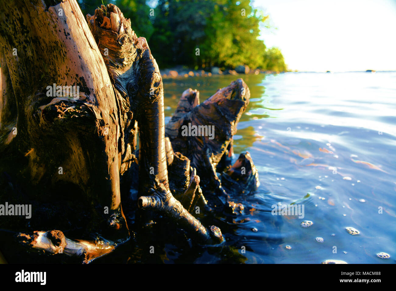 Strände Anmelden Stockfoto