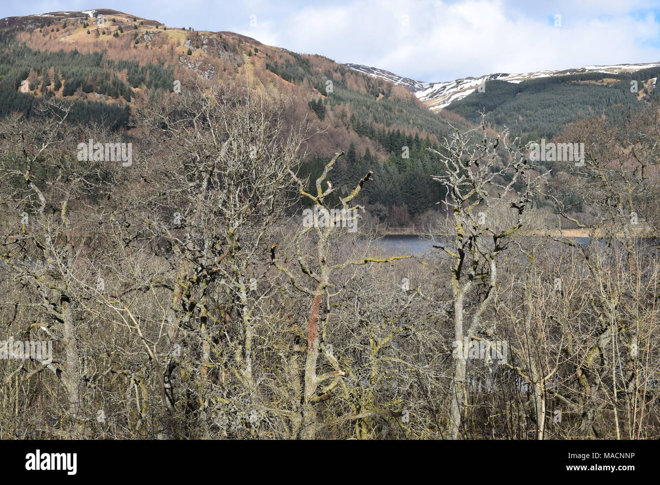 'Loch Lubnaig ''Callender ''Scottish Highlands" trathyre ''Scotland ''Tourismus'. Stockfoto