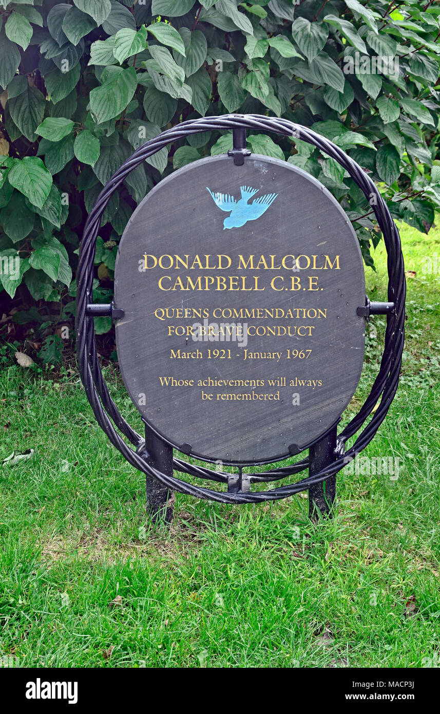 Ein Denkmal von Donald Campbell Stockfoto