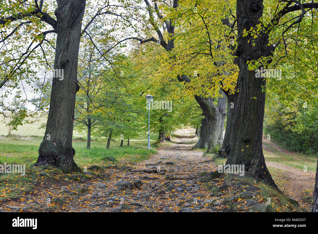 Alte Stein leere Straße zum Kalvarienberg in Banska Stiavnica, Slowakei. Stockfoto