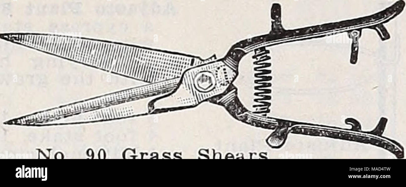 . Dreer der Großhandel Katalog für Floristen und Gärtner: Winter Frühling Sommer 1939. Scheren, Gras, die Klingen des Grlss Schere sind" "^^Pi^fftsejs razor Stahl. BV 2 cm in der Länge. Während die Griffe, die haben keine - 90 Grasscheren konzipiert worden, um die Kontur der Hand passen, sind von Malle - in der Lage, Eisen, ordentlich Brüniertem. Pro Paar, Postpaid 0 $ 85 Gras oder Schafe scheren. Amerikanische. Kelle Schaft Griffe, 5% Zoll, $ 1,00; 7-Zoll 1 35 eingeführten englischen Sheffield Steel. Kelle Schaft Griffe, 5% Zoll, $ 2,35; 7-Zoll 2 $ 50 Heckenschere. American, Flint Kante. Die feinste Qualität kuppeln Stockfoto