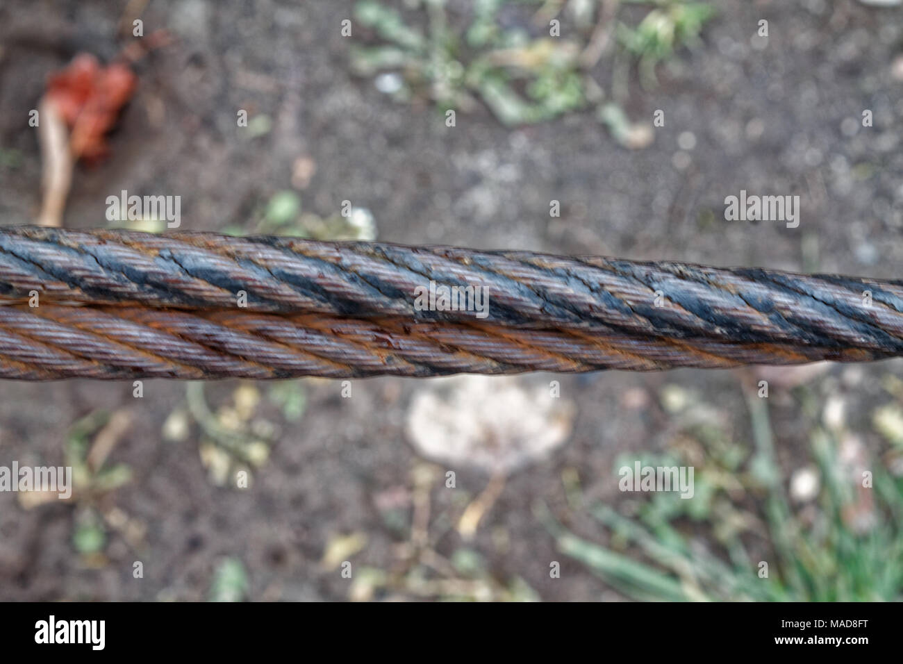 Dicker Stahl Seil hautnah. Brücke zaun Element. Detaillierte Ansicht. Die Oberfläche der Stahlkabel wird mit Rost und Moos bedeckt. Herbst Tag. Stockfoto