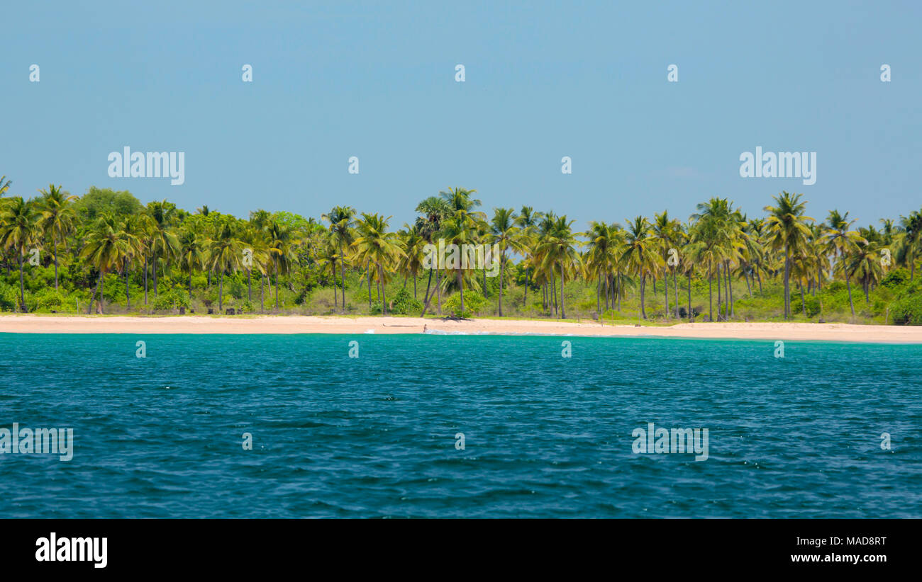 Blauer Himmel, Palmen und Sand auf Nilavelli Strand, Trincomalee, Sri Lanka. Stockfoto
