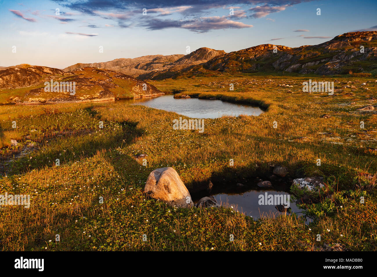 Kleinen Teich hinter dem Polarkreis. Halbinsel Nemetskiy, Barentssee, Russland Stockfoto