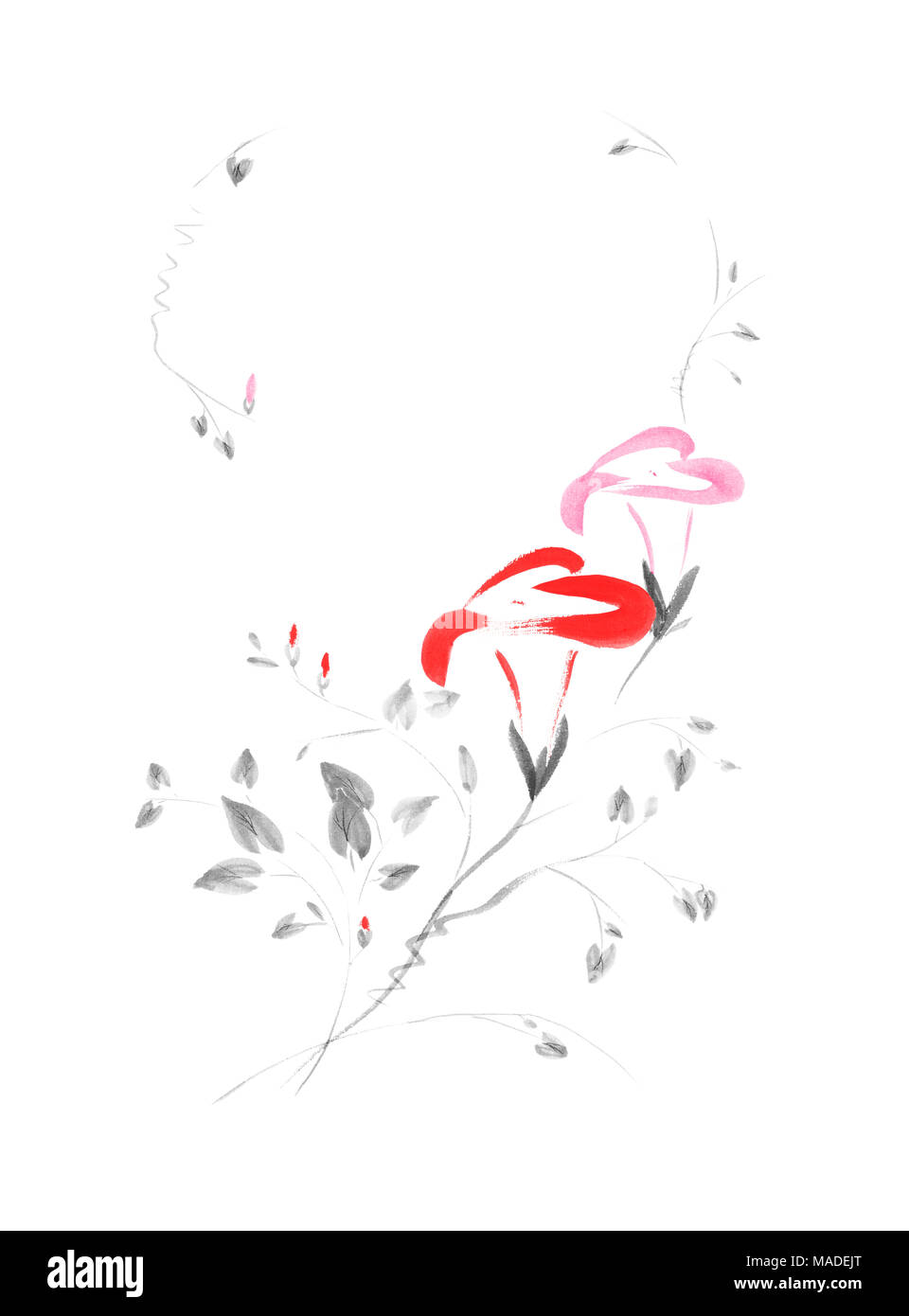 Führerschein verfügbar unter MaximImages.com - zwei wunderschöne rote und rosa Morgenblumen künstlerische orientalische Zen-Designabbildung basierend auf einem OP Stockfoto