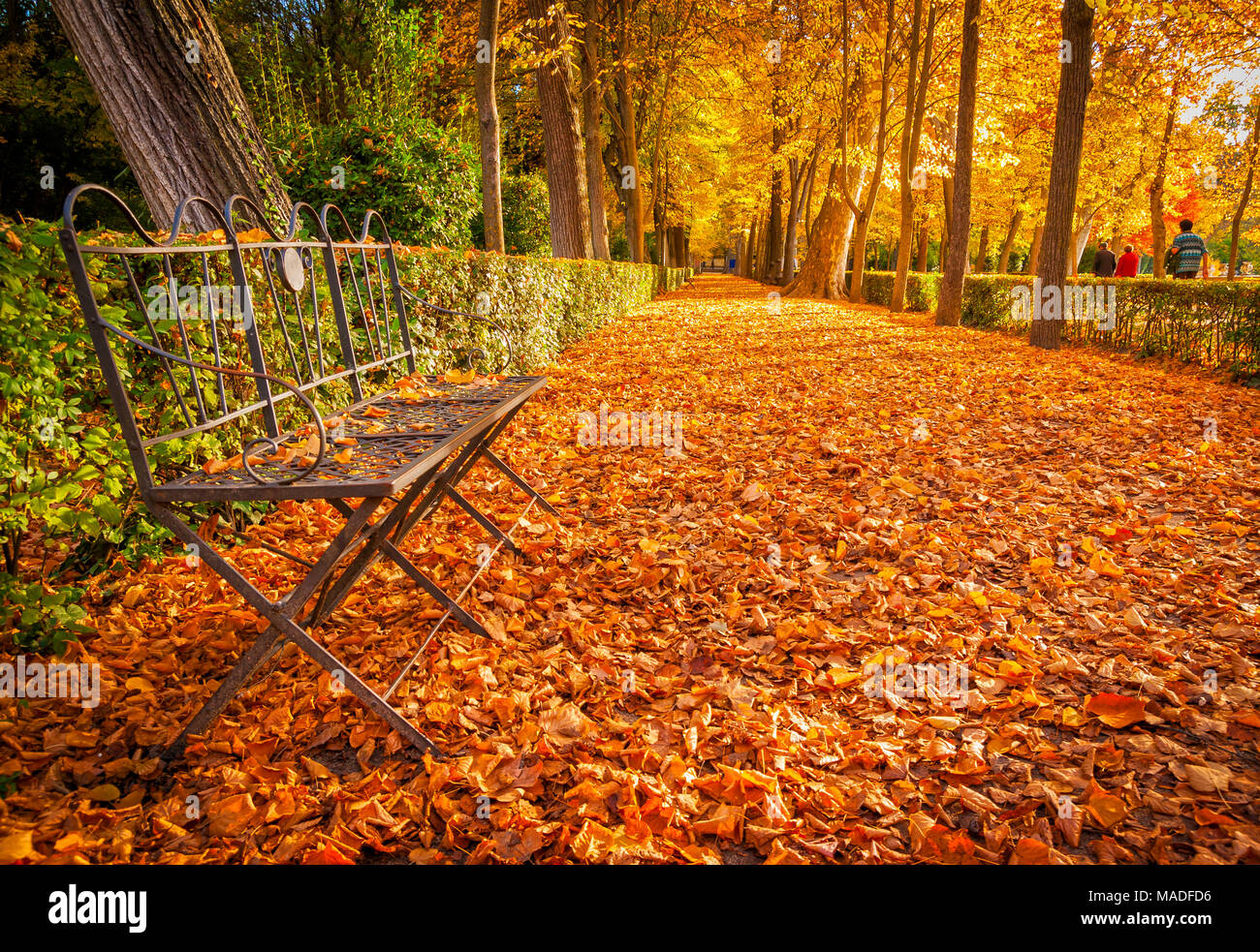 Jardín del Príncipe. Aranjuez. Madrid. España Stockfoto