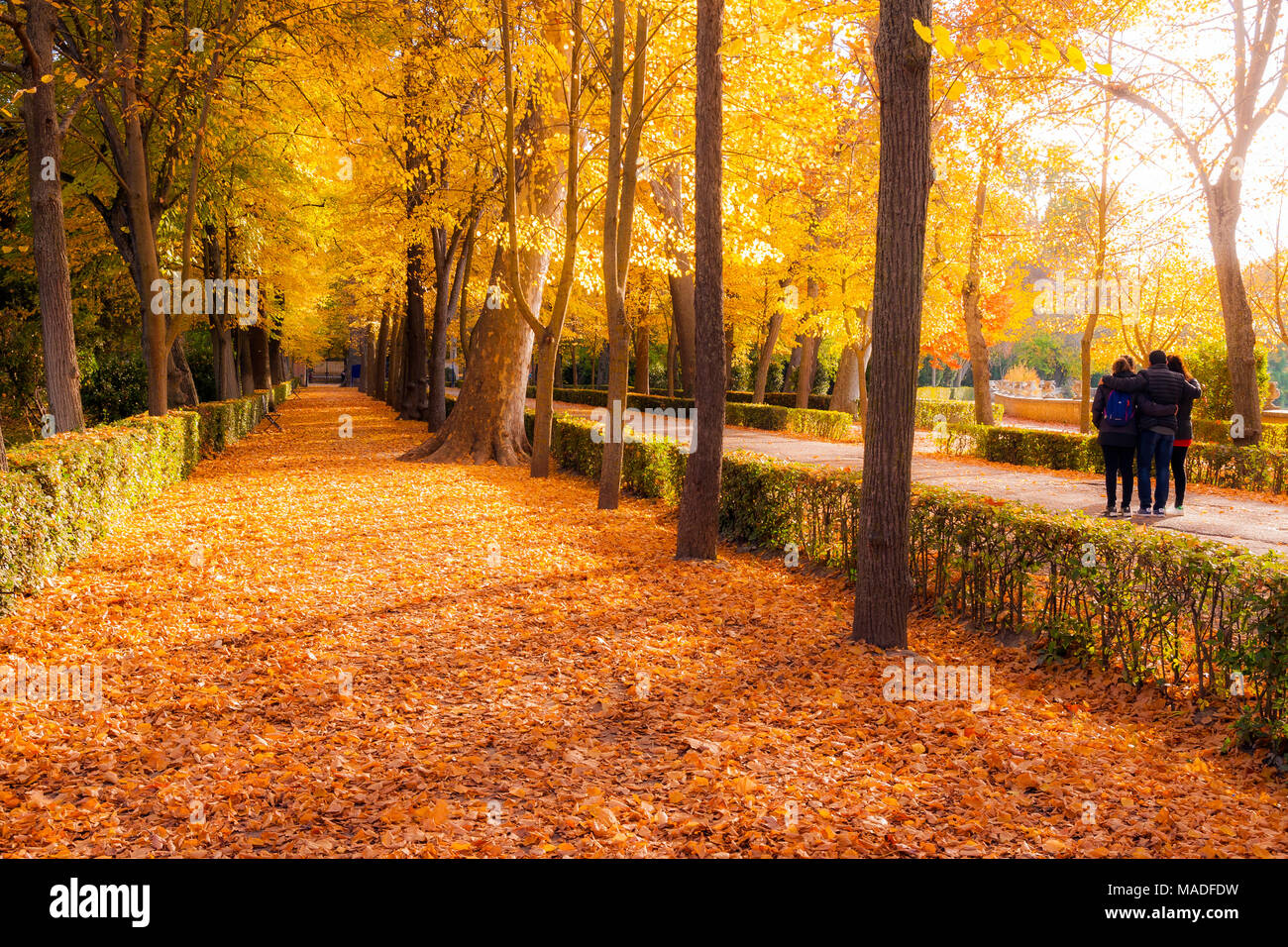 Jardín del Príncipe. Aranjuez. Madrid. España Stockfoto