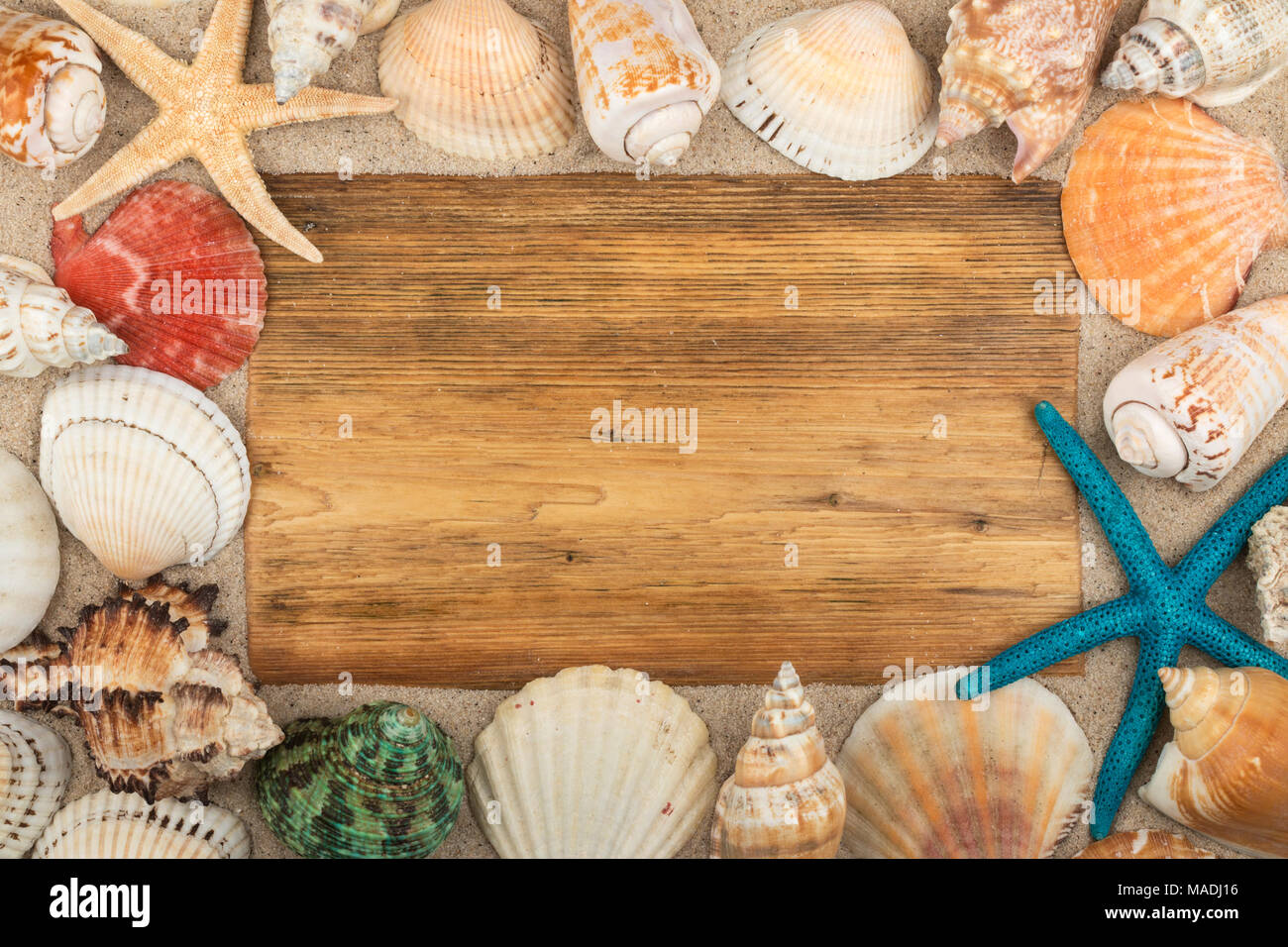 Leeren Rahmen aus hellem Holz, Muscheln und Seesterne in den Sand. Mit Platz für Ihren Text. Ansicht von oben Stockfoto