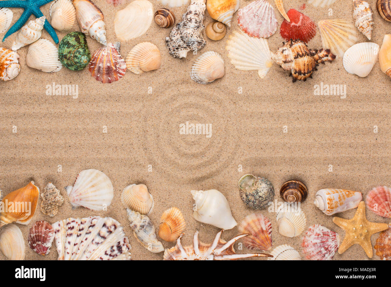 Kreis aus Sand, Muscheln und Sterne. Mit Platz für die Designer. Ansicht von oben Stockfoto