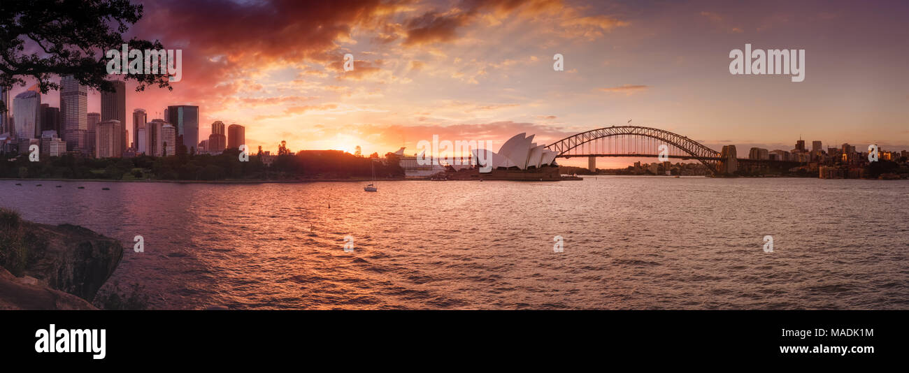 Hafen von Sydney Sonnenuntergang Panorama Stockfoto