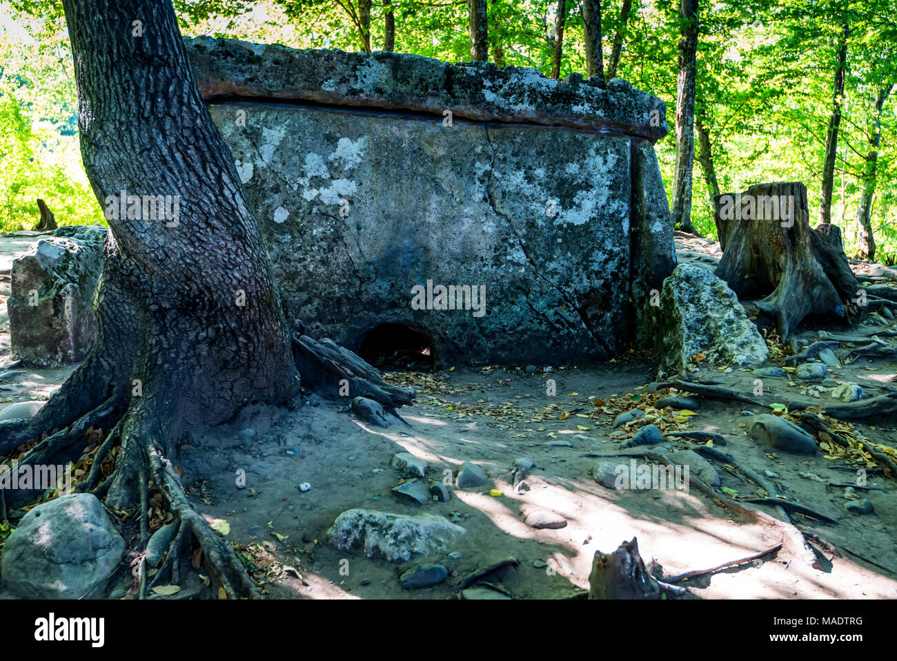 Kaukasus Dolmen im Wald Stockfoto