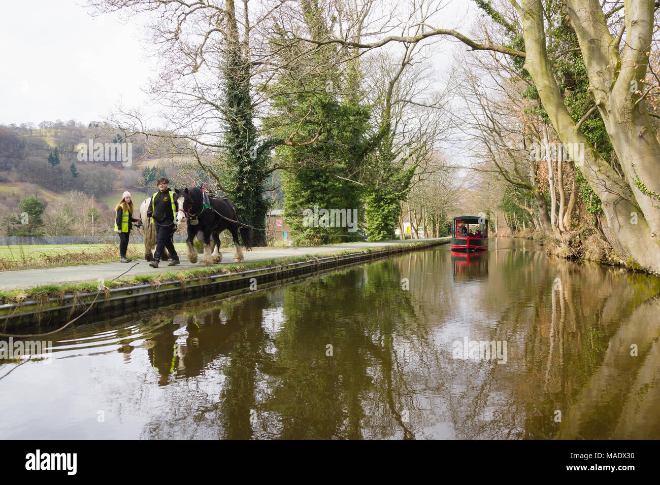 Pferd 15-04 mit Touristen ein Vergnügen Reise entlang der 200 Jahre alten Llangollen Canal in Nord Wales gezeichnet Stockfoto