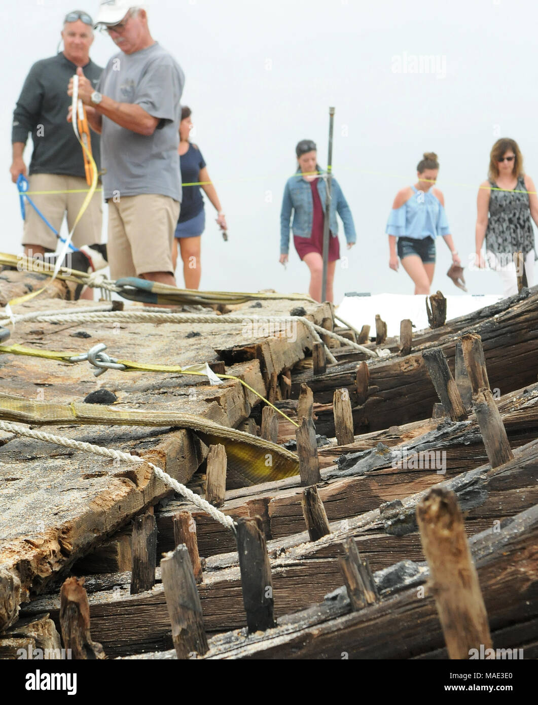 März 30, 2018-Ponte Vedra Beach, Florida, United States - Holz Nägel trunnels genannt werden gesehen, ragen aus der futtocks, oder gebogene riblike Hölzer einer Havarie, die am 28. März 2018 nach dem Landgang aus Ponte Vedra Beach in Florida gewaschen entdeckt wurde. Ein Team aus der St. Augustine Leuchtturm archäologische Maritime Programm ist der Prüfung und Messung der 48-Fuß-langen hölzernen Überreste, die geglaubt werden, von einem Handelsschiff, dass Ladung entlang der Atlantikküste der USA während Anfang bis Mitte der 1800er transportiert zu haben. (Paul Hennessy/Alamy) Stockfoto