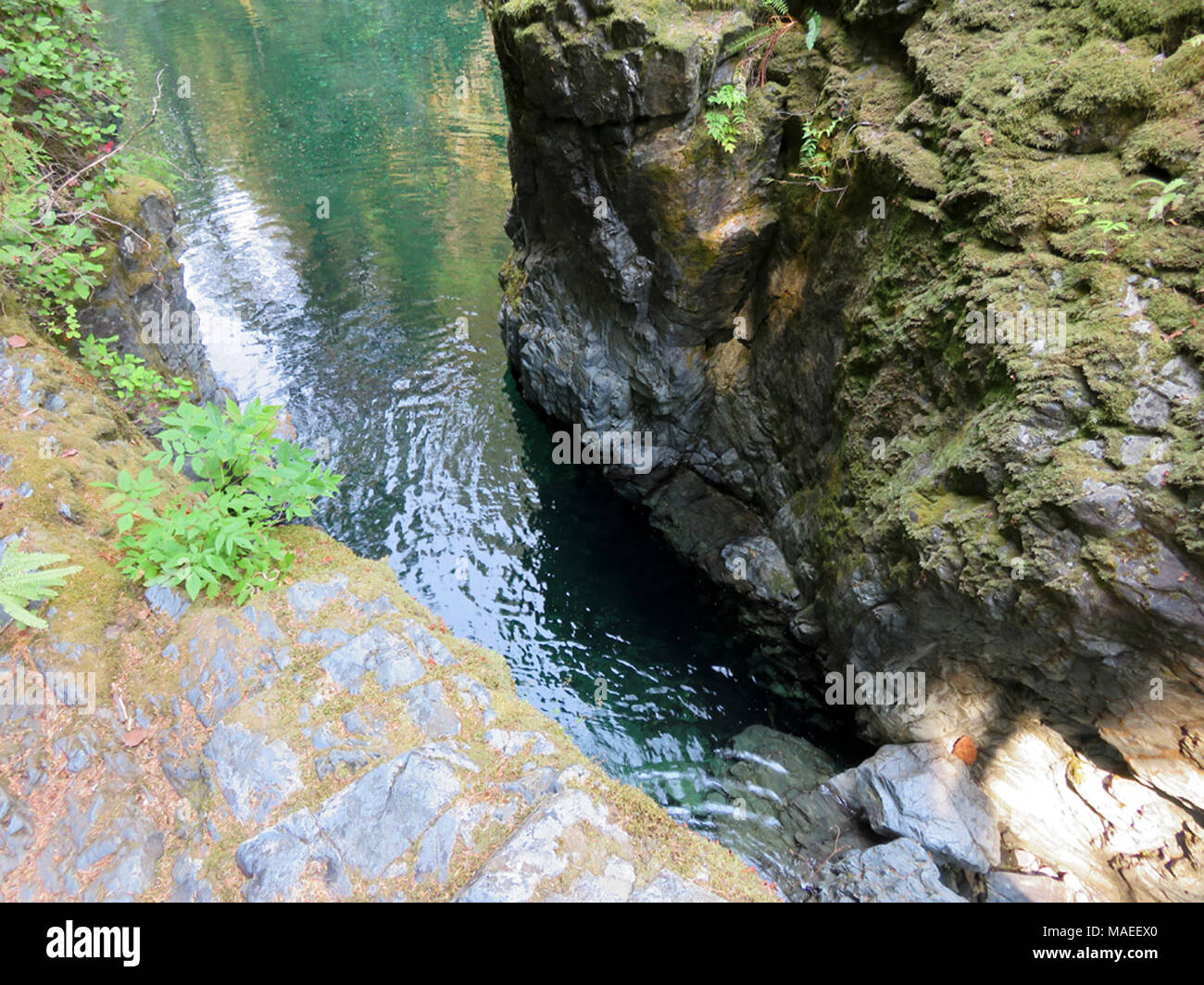 Opal Creek Pool in ODER Stockfoto