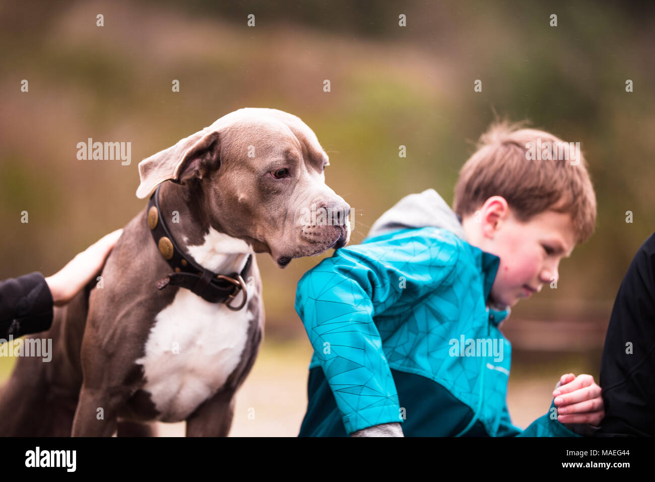 Haben Sie nicht Angst, Stockfoto