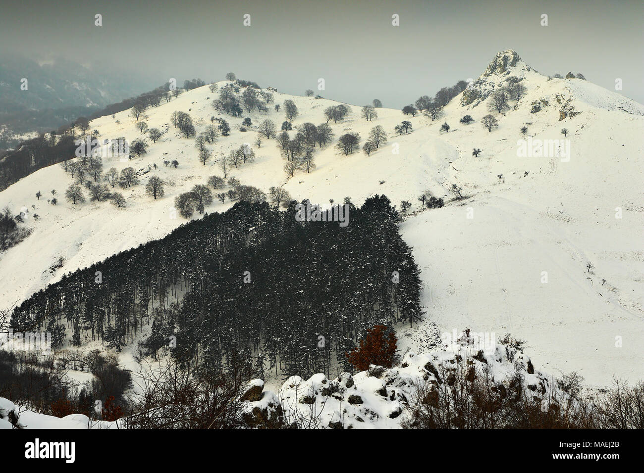 Wälder und Lichtungen im Trascau Berge im Winter Stockfoto