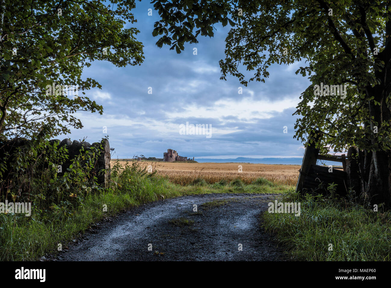 Eine Fernsicht auf Tantallon Castle, Firth-of-Forth, North Berwick, East Lothian, Schottland Stockfoto
